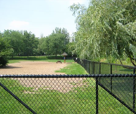 Image of leash free area of Cedarvale Park